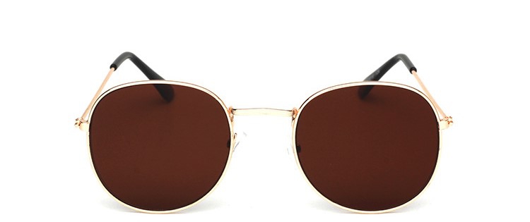 Yuvarlak Polarize Metal Güneş Gözlüğü A-37823